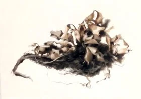 11. Camalote. 50x70cm - Diafana - 2014 - 2020