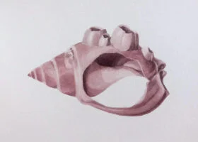 3. Serie Caracoles rotos. 33x42cm