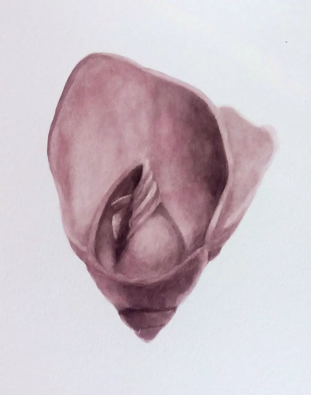 Serie Caracoles rotos. 33x42cm
