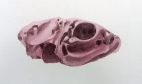 4. Serie Piedras. 42x33cm